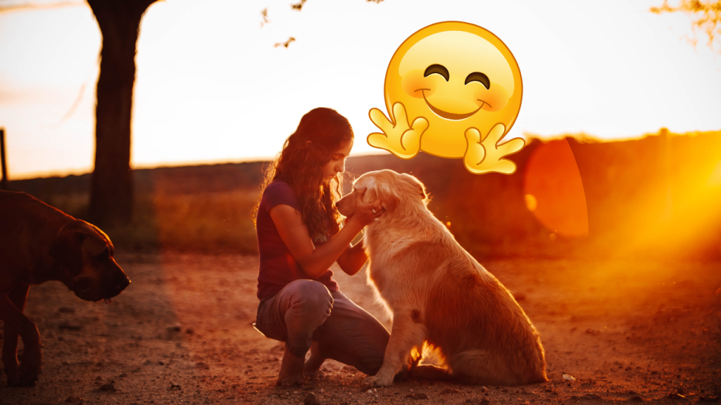 diseño sin título 35