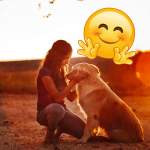 diseño sin título 35