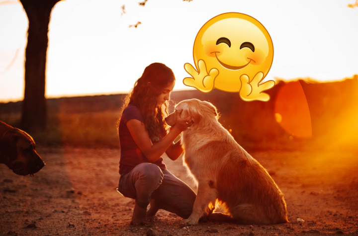 diseño sin título 35